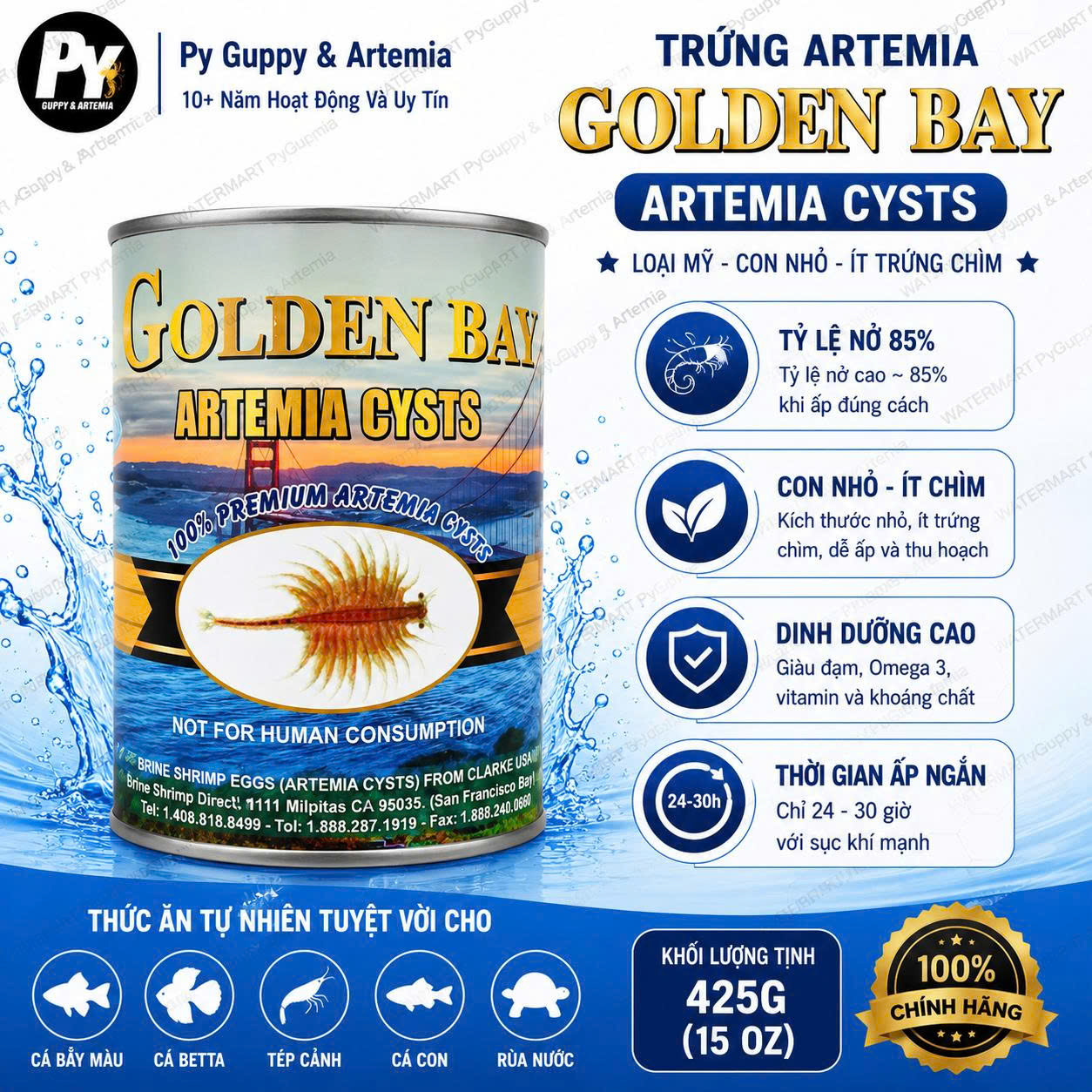 Trứng Artemia mỹ Golden Bay ( TLN 80% )