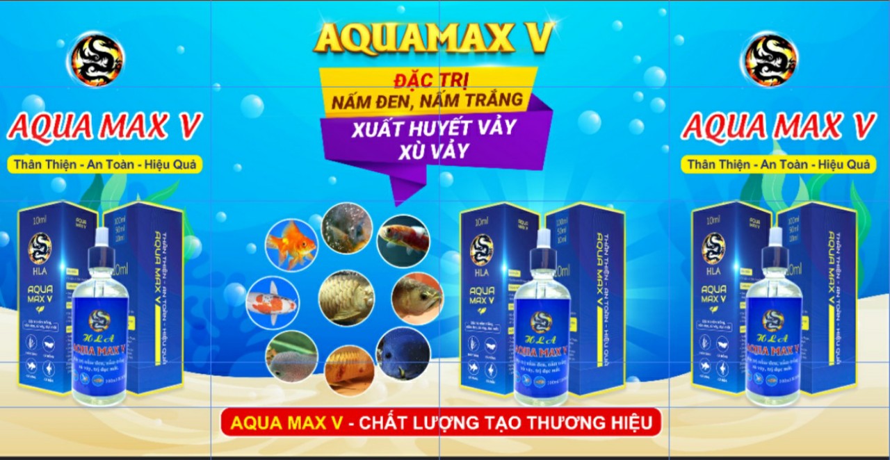 Aqua Max 5 Điều Tr ị Nấm Đen, Nấm Trắng, Xù Vảy, Xuất Huyết Vảy, Đục Mắt