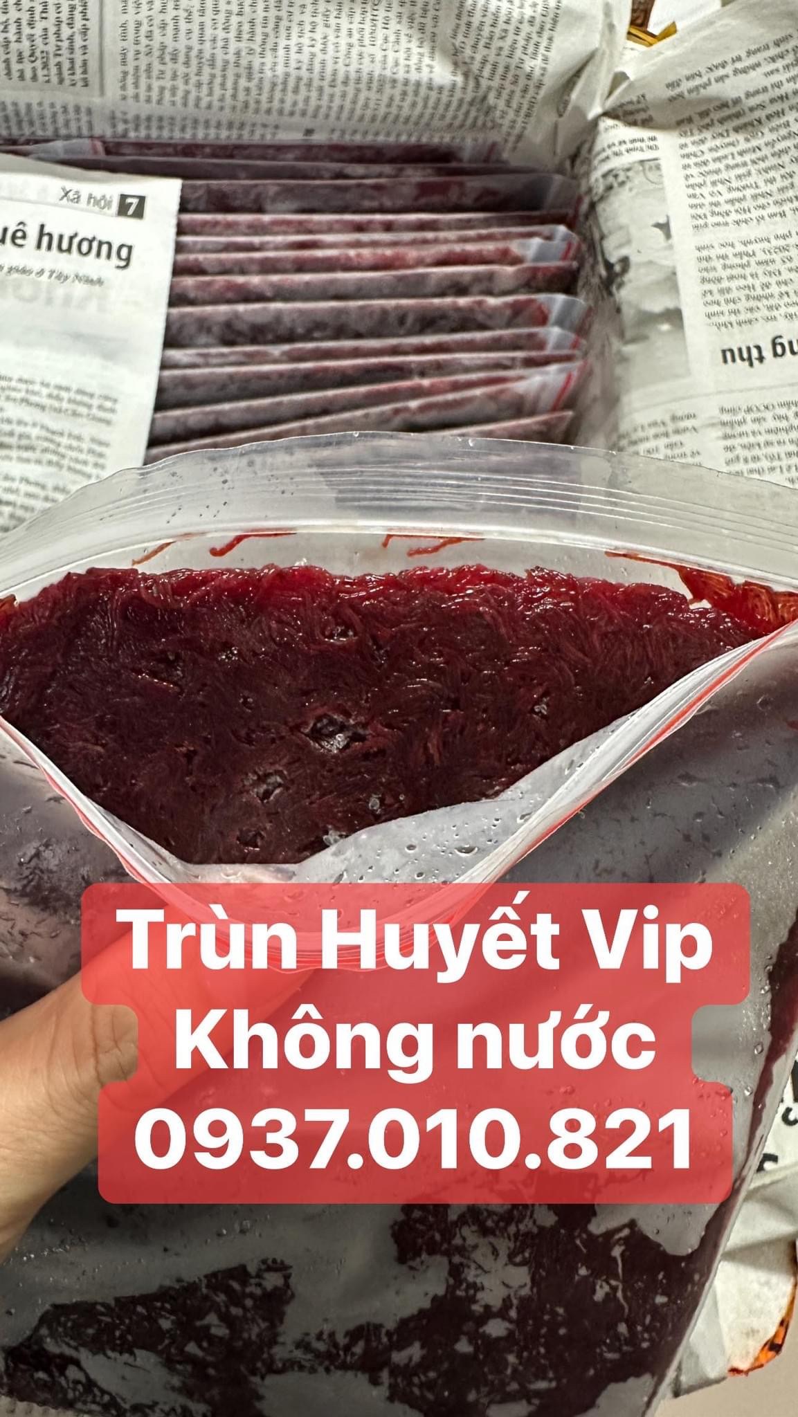 Trùn Huyết Chất Lượng Cao - Loại Đặc Trùn Không Pha nước
