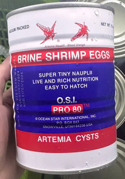 Artemia Mỹ OSI Chính Hãng ( Đáy Đỏ , TLN 95% )
