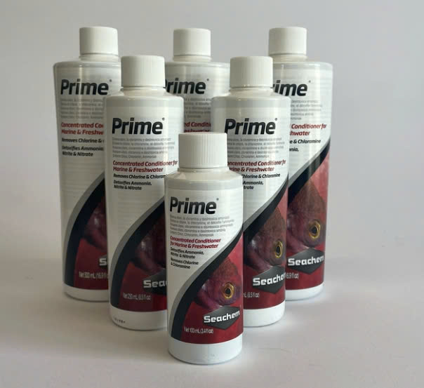 Seachem Prime – Giải Pháp Toàn Diện Xử Lý Nước Máy Nuôi Cá