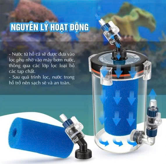 🌊 Lọc phụ Marine 200A / 200B – Giải pháp lọc phụ trợ hiệu quả cho hồ cá cảnh