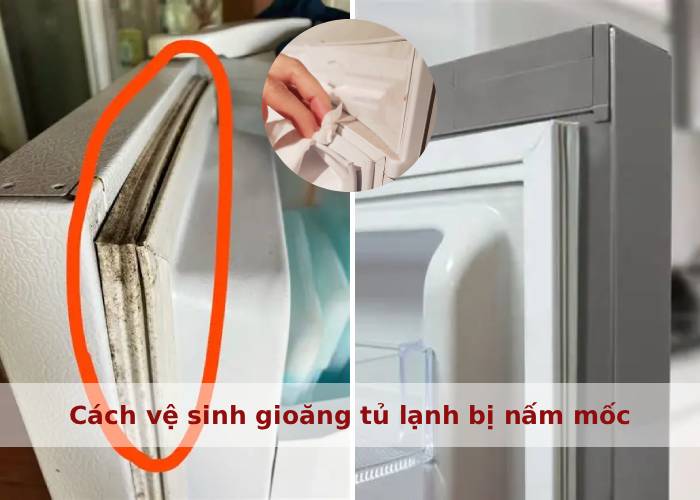 Cách vệ sinh gioăng tủ lạnh bị nấm mốc