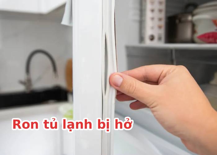 Ron tủ lạnh bị hở có hao điện không