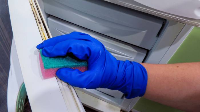 vệ sịnh ron tủ lạnh thường xuyên