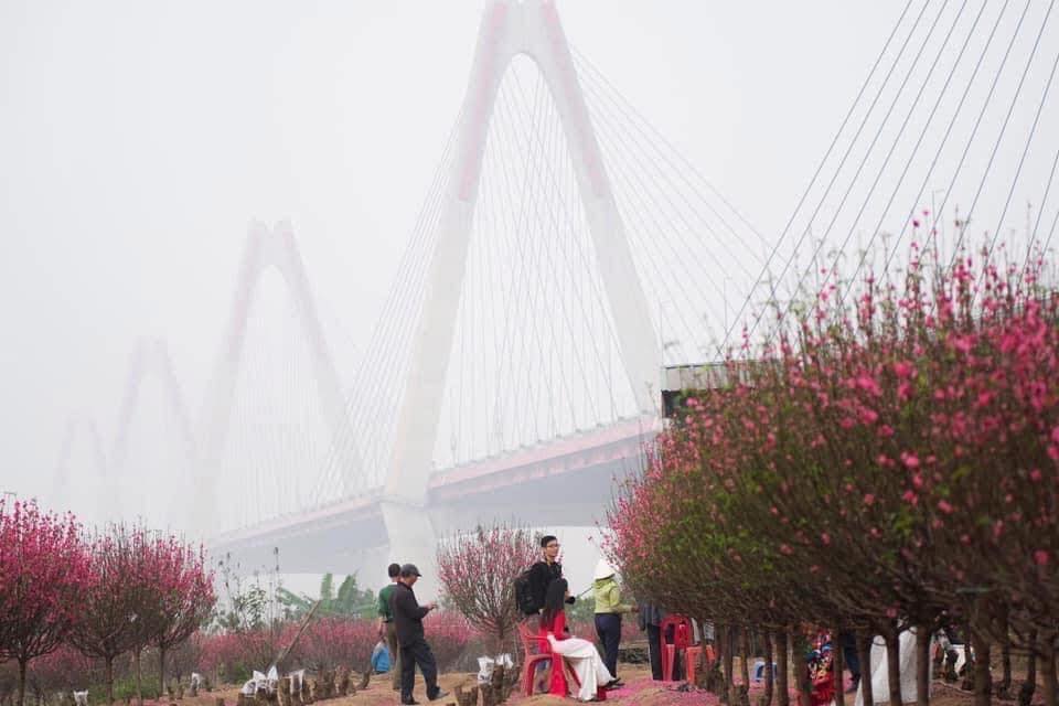 Tết 2026