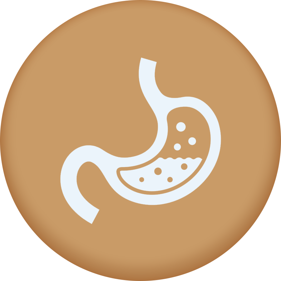 Chăm Sóc Hệ Tiêu Hóa