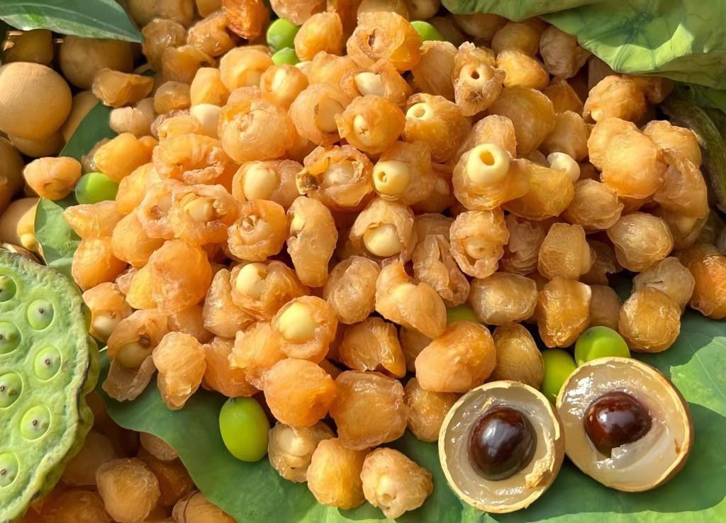 Long nhãn ôm sen