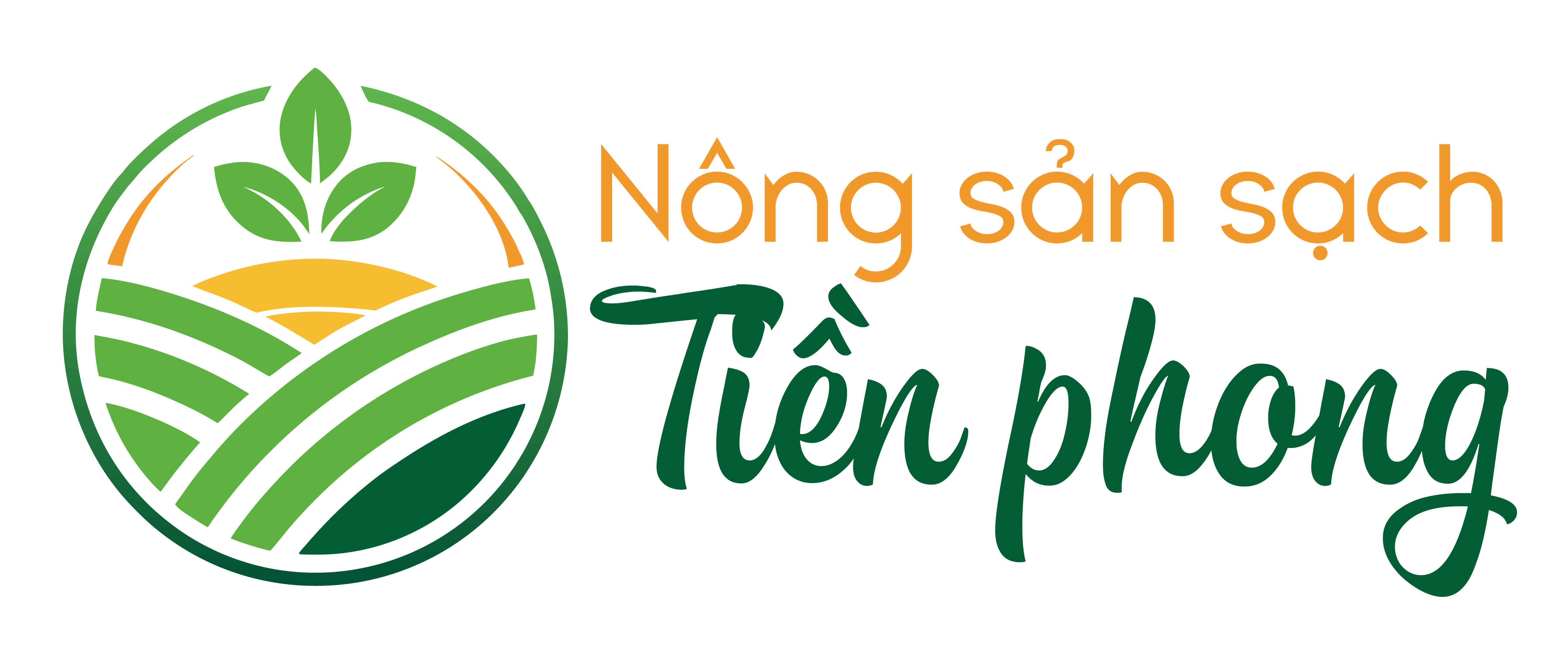 HTX Tiền Phong