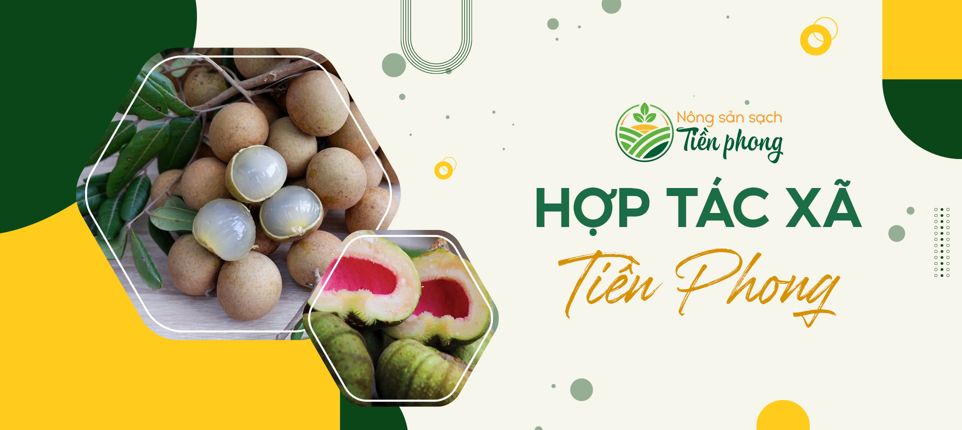 Nông sản sạch - Hợp tác xã Tiền Phong