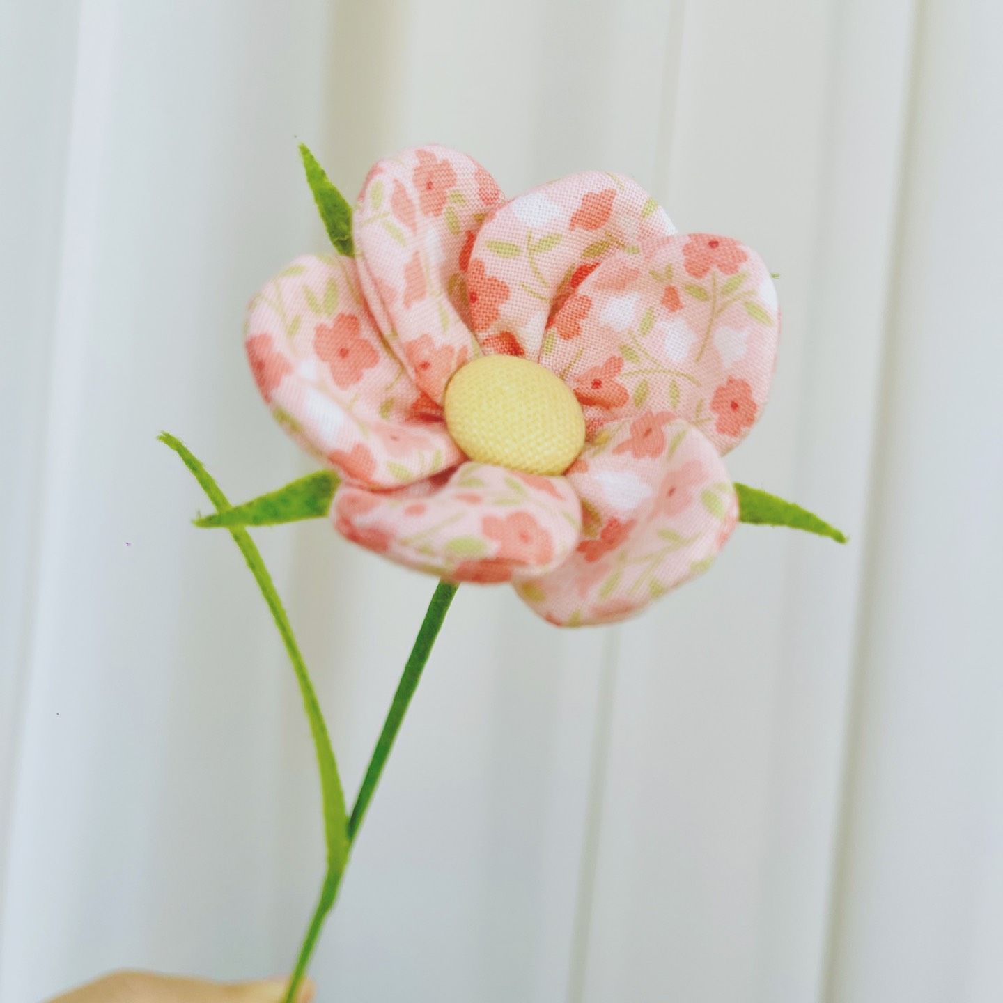 Hoa Vải 6 Cánh