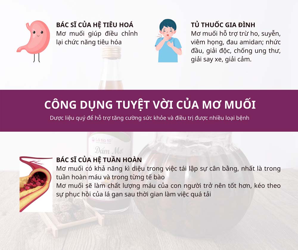 Dấm Mơ Muối Lâu Năm - LTT