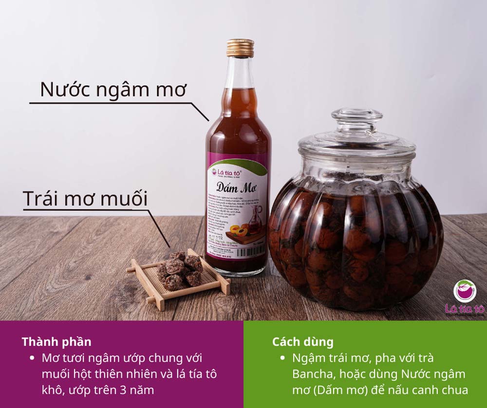 Dấm Mơ Muối Lâu Năm - LTT