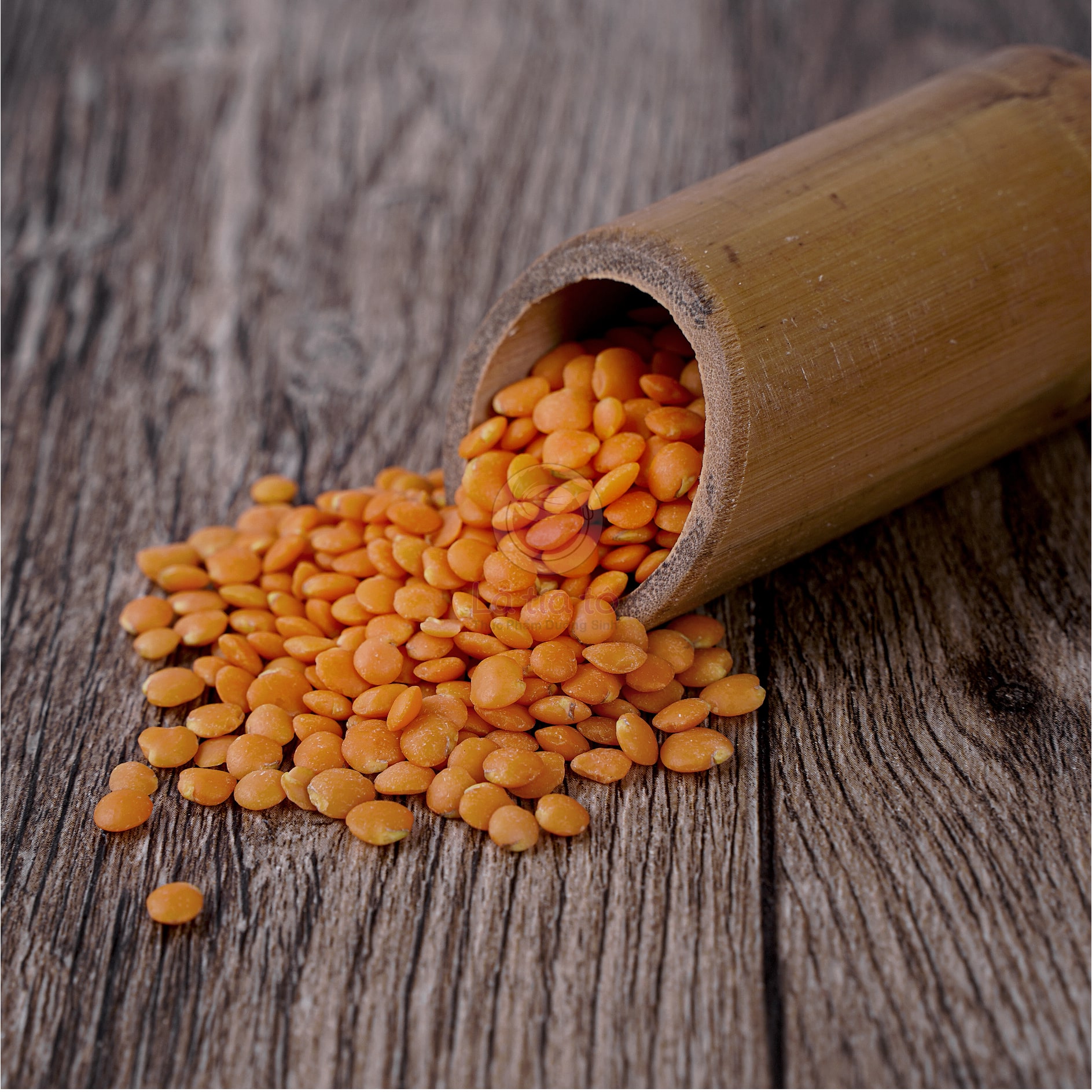 Đậu Lăng Đỏ - LTT