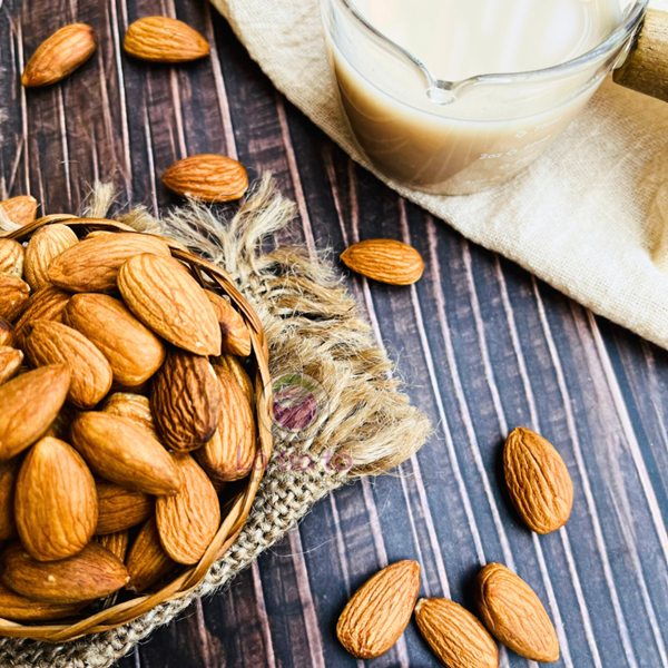 Hạt Hạnh Nhân - LTT