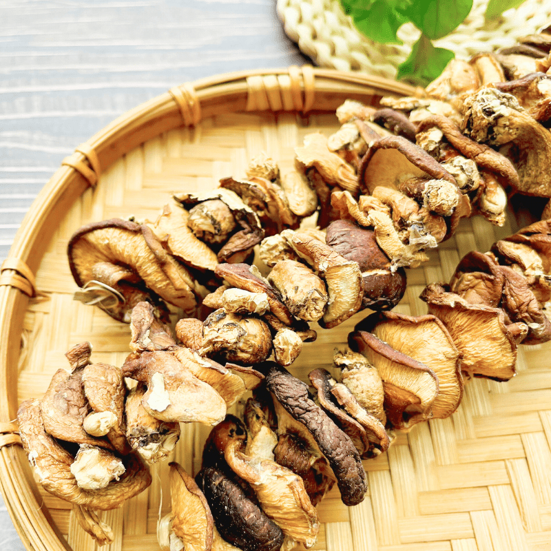 Nấm Hương Rừng Bắc Kạn - LTT