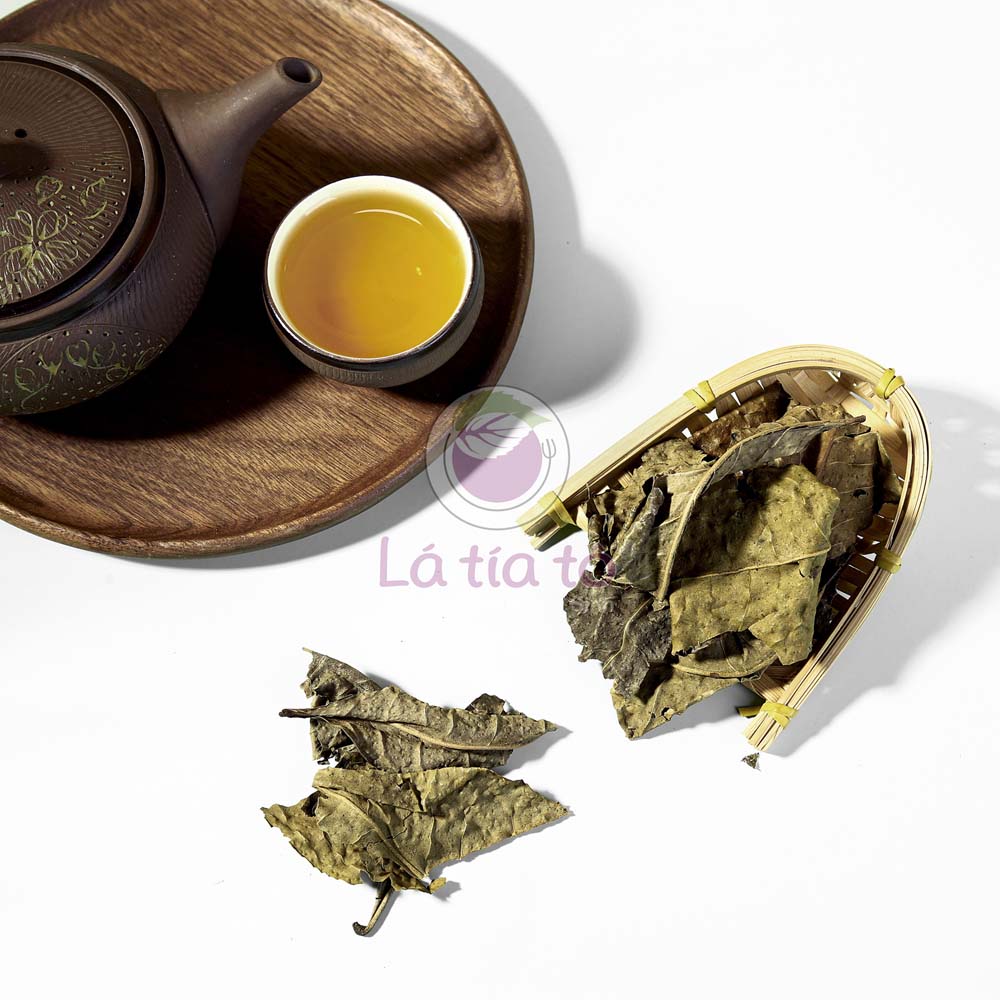 Trà Bancha 3 năm - LTT