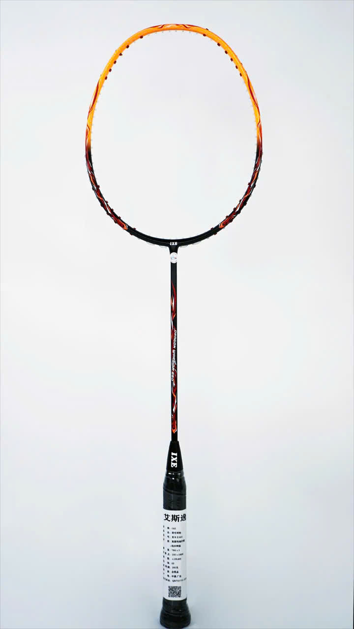 Vợt cầu lông IXE Warrior Dragon 660
