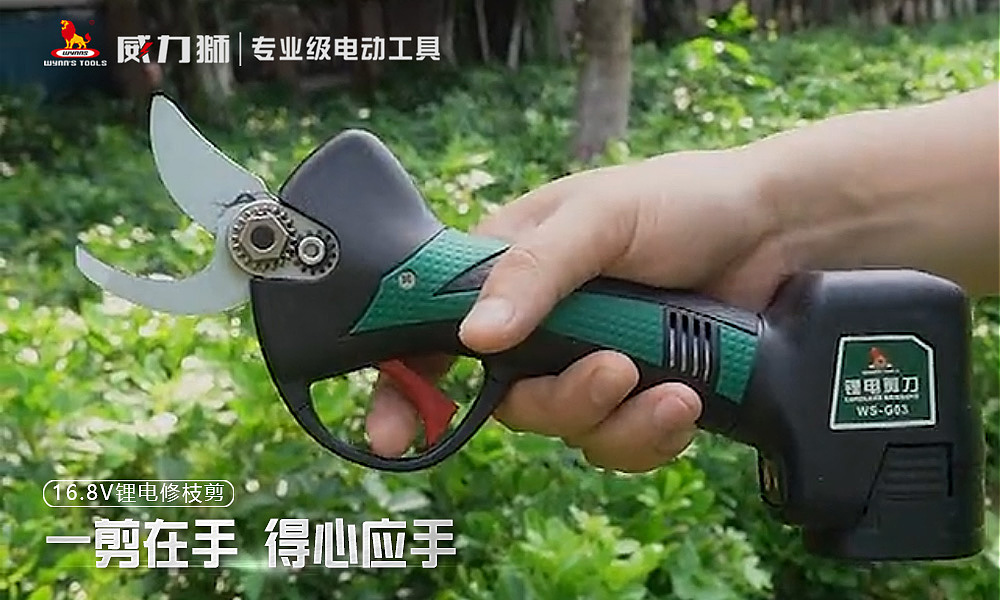 HỘP DỤNG CỤ 