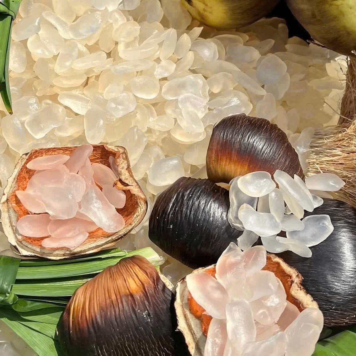 Thốt Nốt Sấy Dẻo Thái Lan 400gr - Món Ăn Vặt Dẻo Thơm, Ngọt Dịu