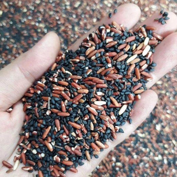 Bột Gạo Lức Mè Đen 500gr - Dinh Dưỡng Thuần Tự Nhiên, Khỏe Từ Bên Trong