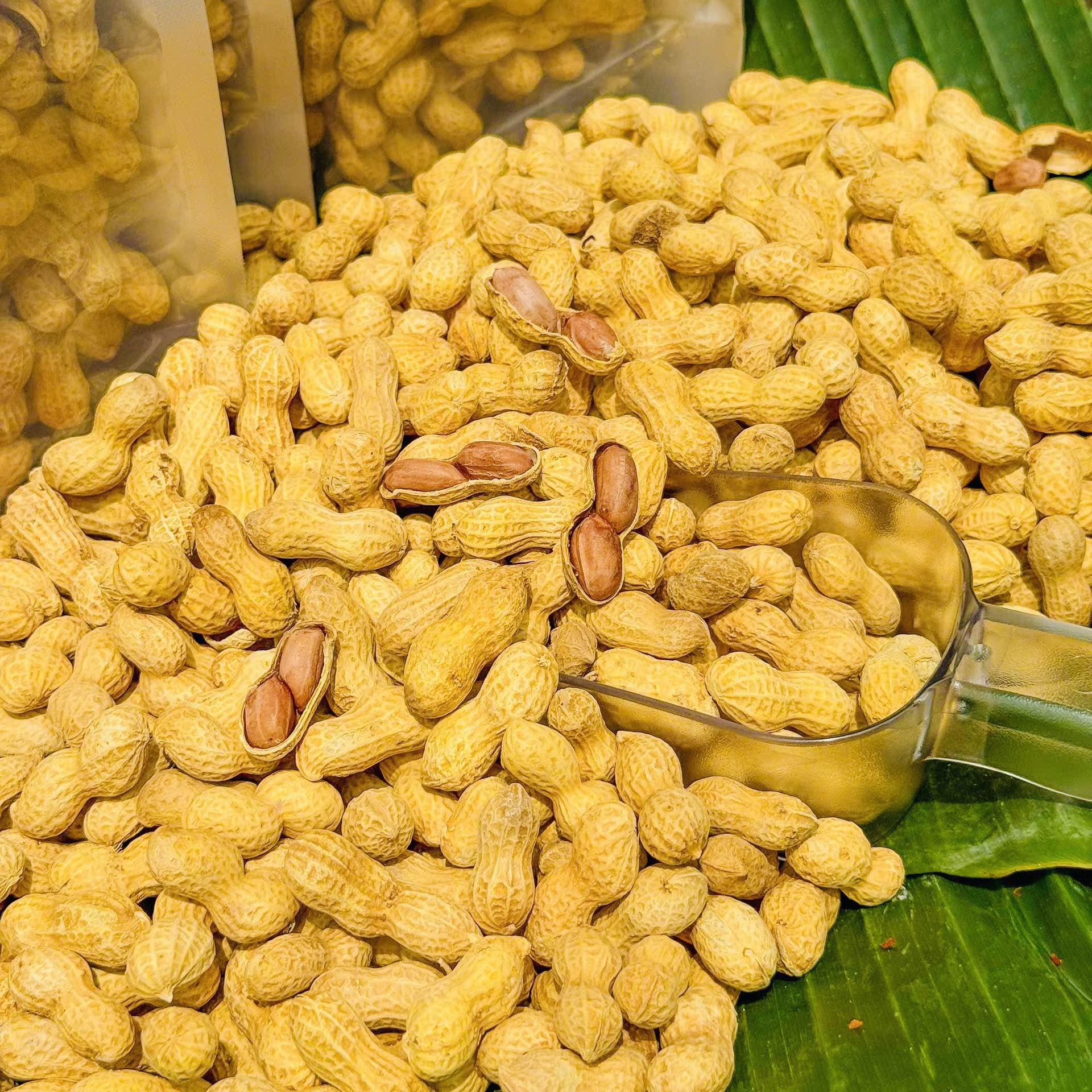 Đậu Phộng Sấy Nguyên Vỏ Vị Sữa – Béo Ngậy, Giòn Tan, Ăn Là Ghiền 500gr