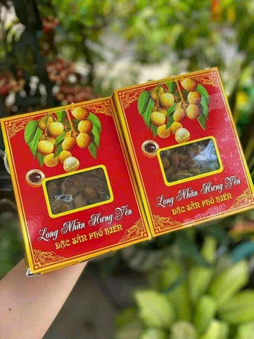 Long Nhãn Hưng Yên Sấy Khô 500gr - Ăn Vặt Api Food