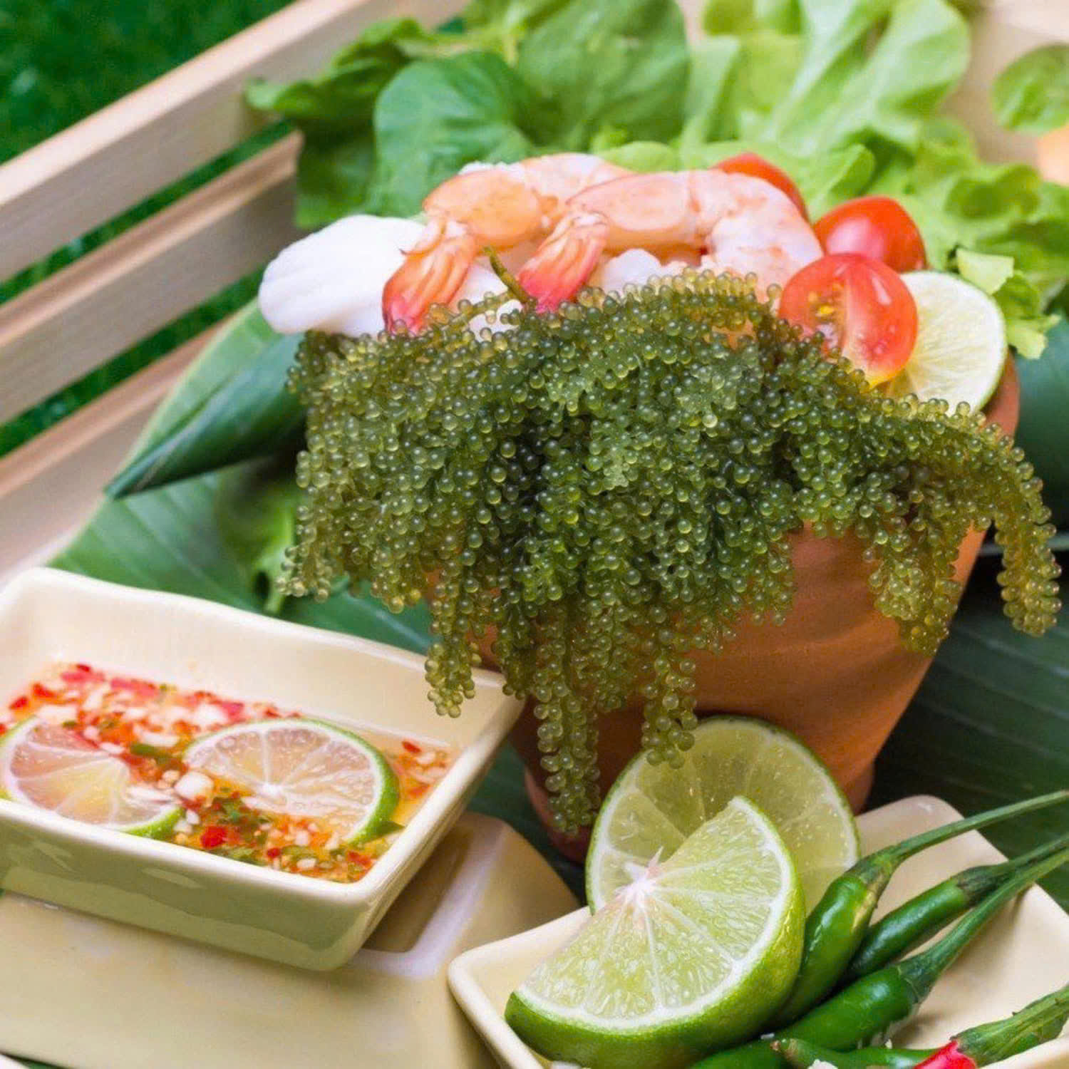 Rong Nho Tách Nước Ahichi 100gr ( Kèm Sốt Mè Rang ) - Ăn Vặt Api Food