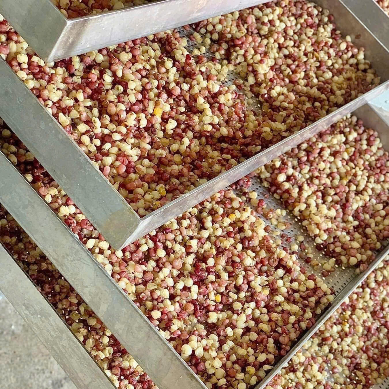 Ngô Nếp Mèo Rang Củi Điện Biên Giòn Rùm Rụm - Ăn Vặt Api Food