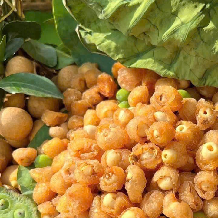 Long Nhãn Ôm Sen, Nhãn Bọc Sen - Đặc Sản Hưng Yên