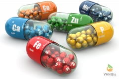 Thực Phẩm Bổ Sung