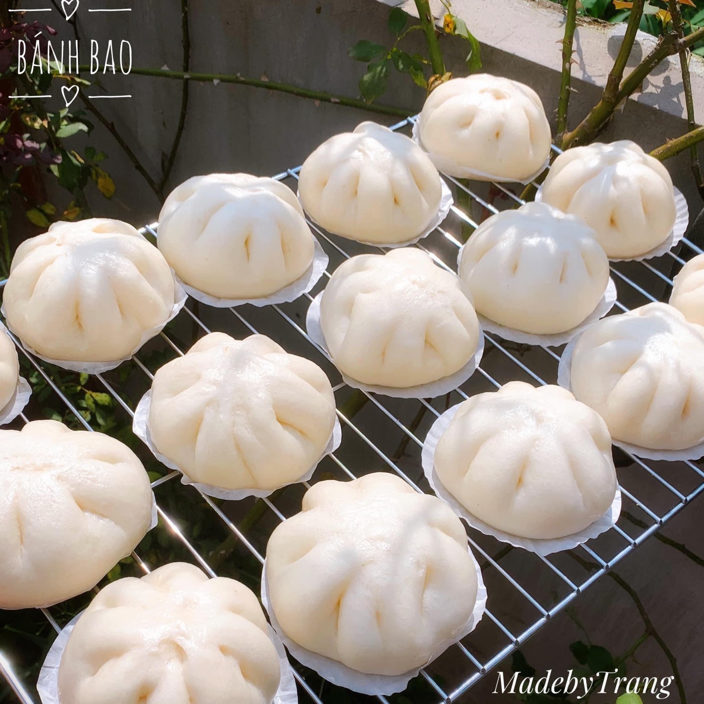 Bánh bao lẻ 18