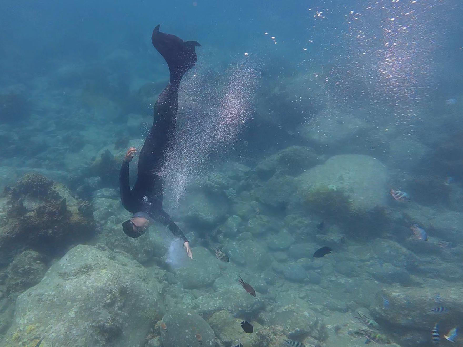 Chàng tiên cá Tiun nổ lực xây dựng quỹ bảo tồn biển cho vịnh Nha Trang