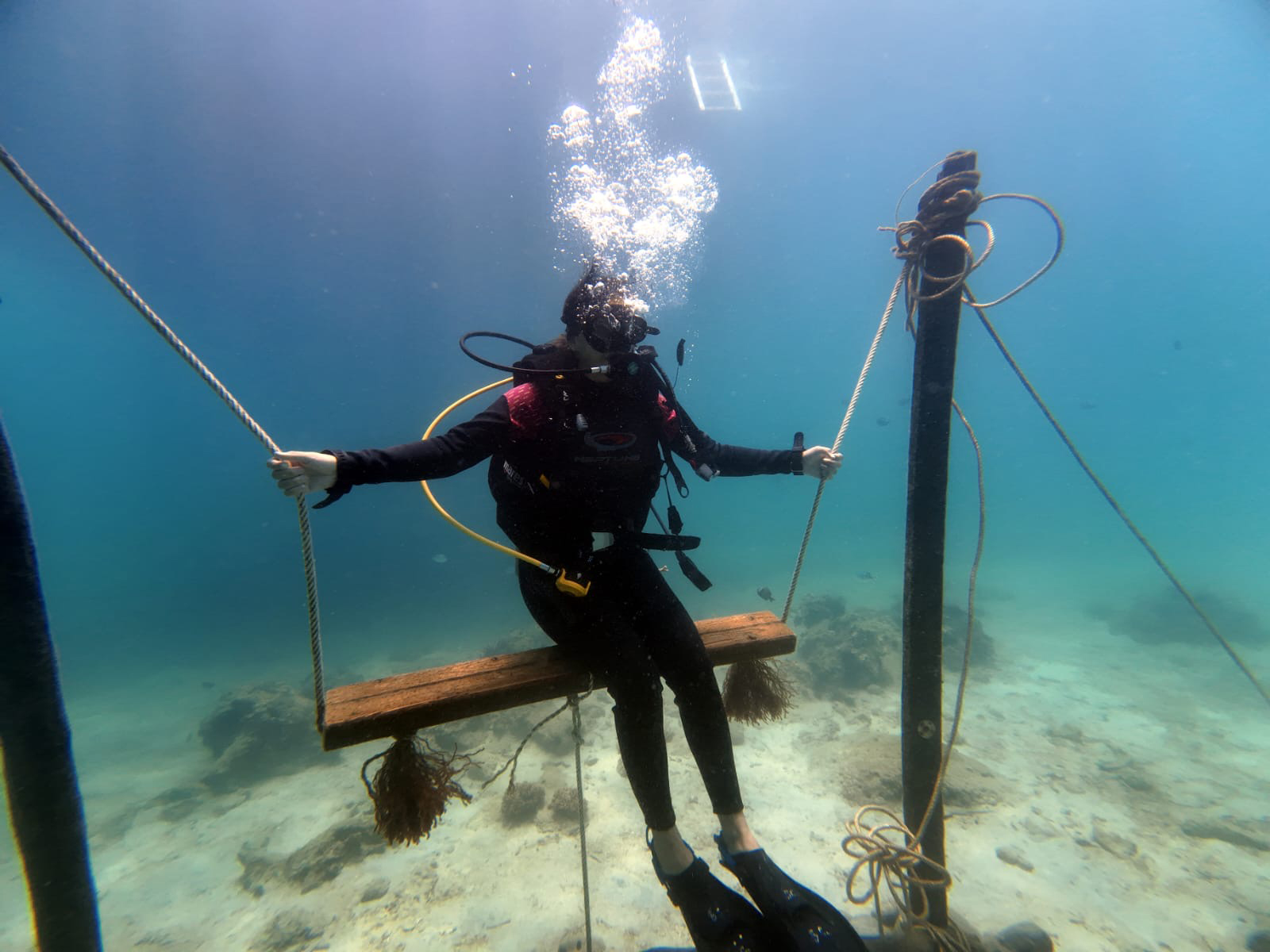 Học lặn PADI ở Nha Trang với trung tâm chất lượng 5 sao