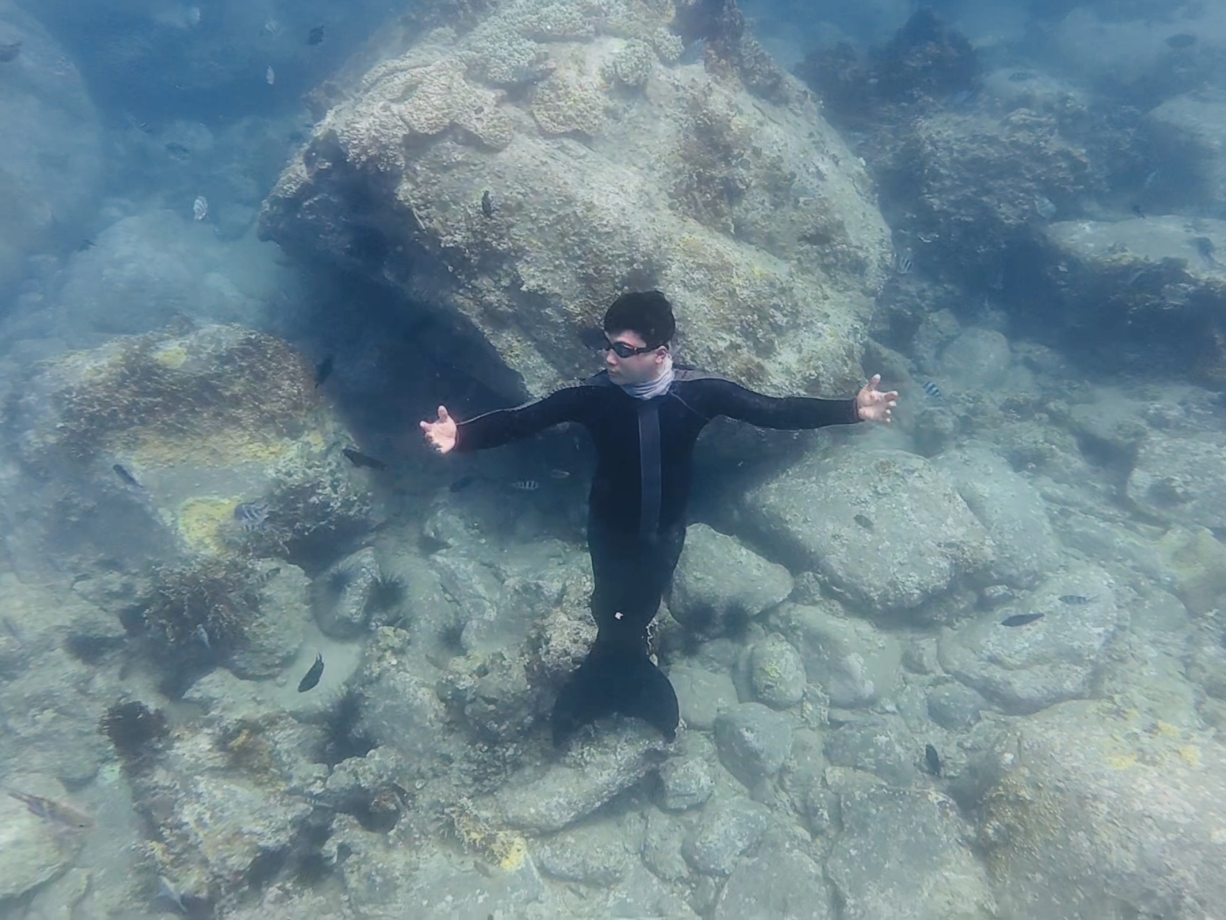 Chàng Tiên Cá Mở Tour Du Lịch Bảo Tồn San Hô Nha Trang