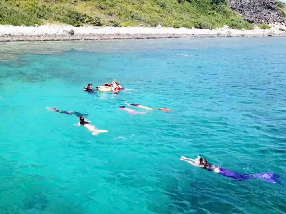 Nghề Nàng Tiên Cá Ở Mỹ