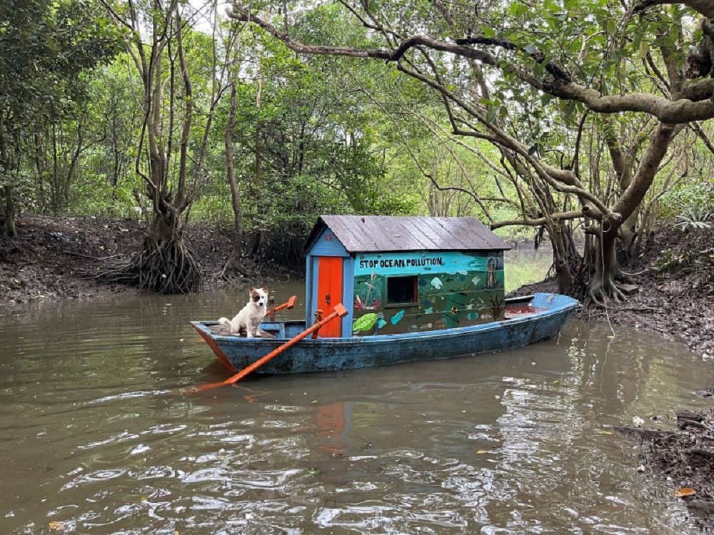 Đồ Cắm Trại Nature Hike Sẽ Đồng Hành Cùng Tour Nghiên Cứu Rừng Ngập Mặn