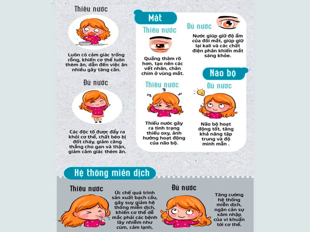 Hệ thống miễn dịch, mắt và não bộ cũng bị ảnh hưởng khi uống thiếu nước