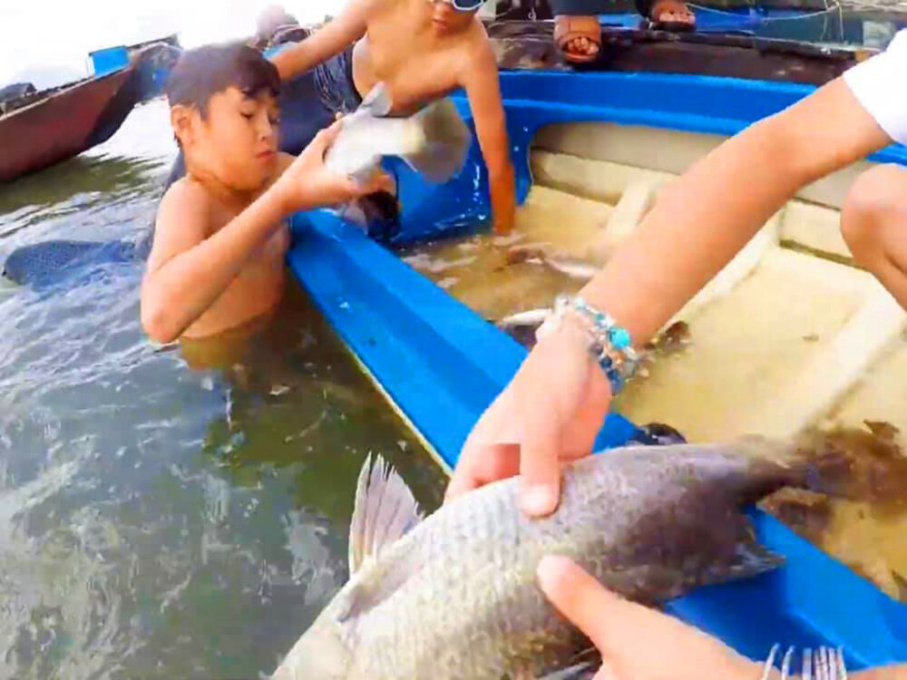 Chàng tiên cá Tiun giúp các học trò người cá Tide, Ben, Mimi, Luna, Nori,...mở rộng tâm từ bi