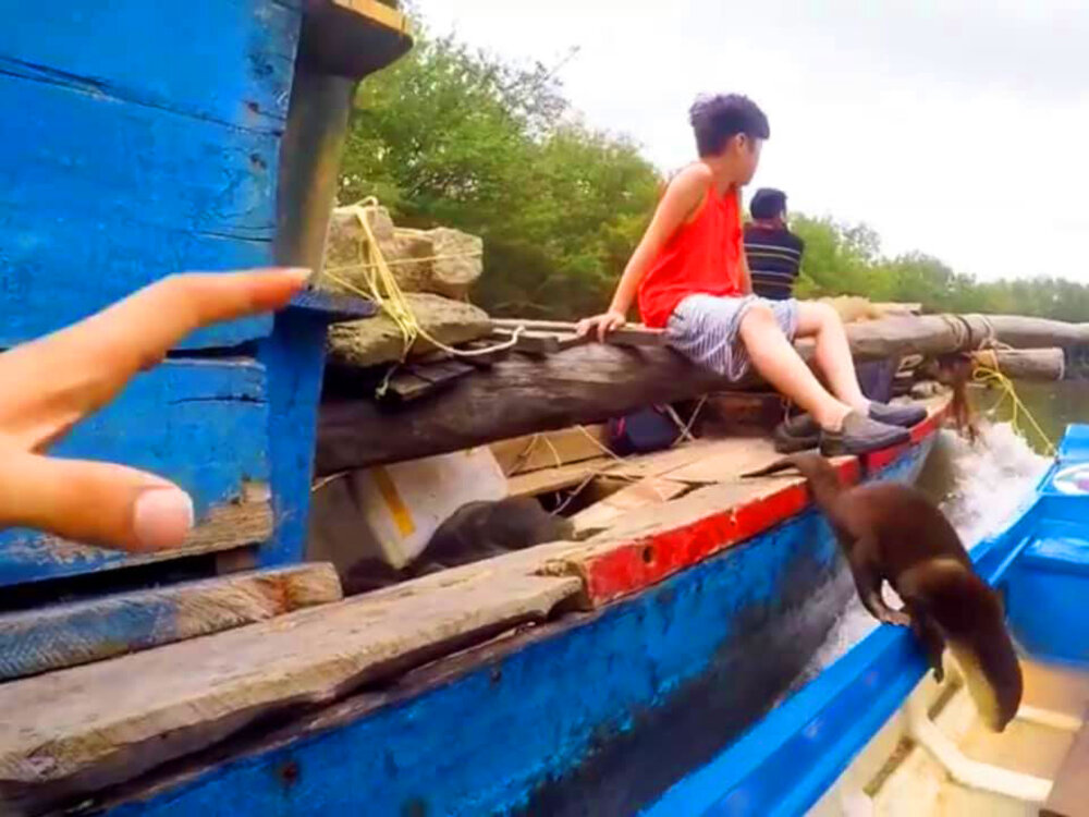 Anh Tiun đang trên đường kêu gọi bảo tồn rái cá vuốt bé