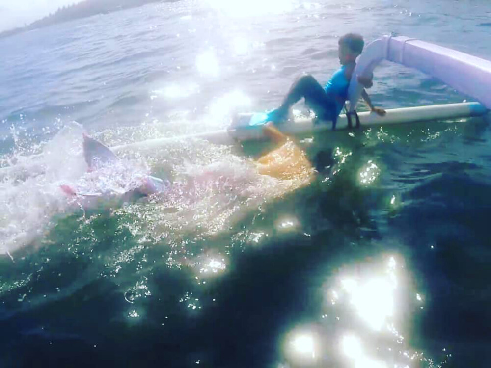 Chàng tiên cá Tiun chứng minh cho người cá Tide thấy vượt qua nổi sợ hãi đại dương