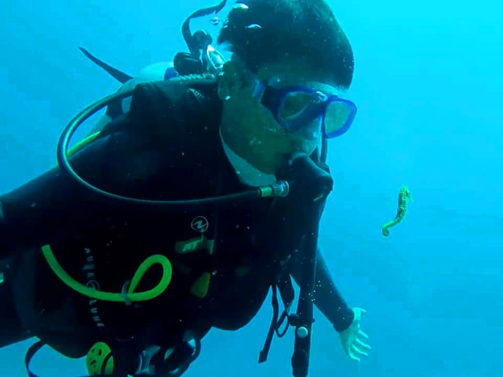 Sự kiện anh Tiun cùng thầy thần cá Loc giải cứu cá ngựa