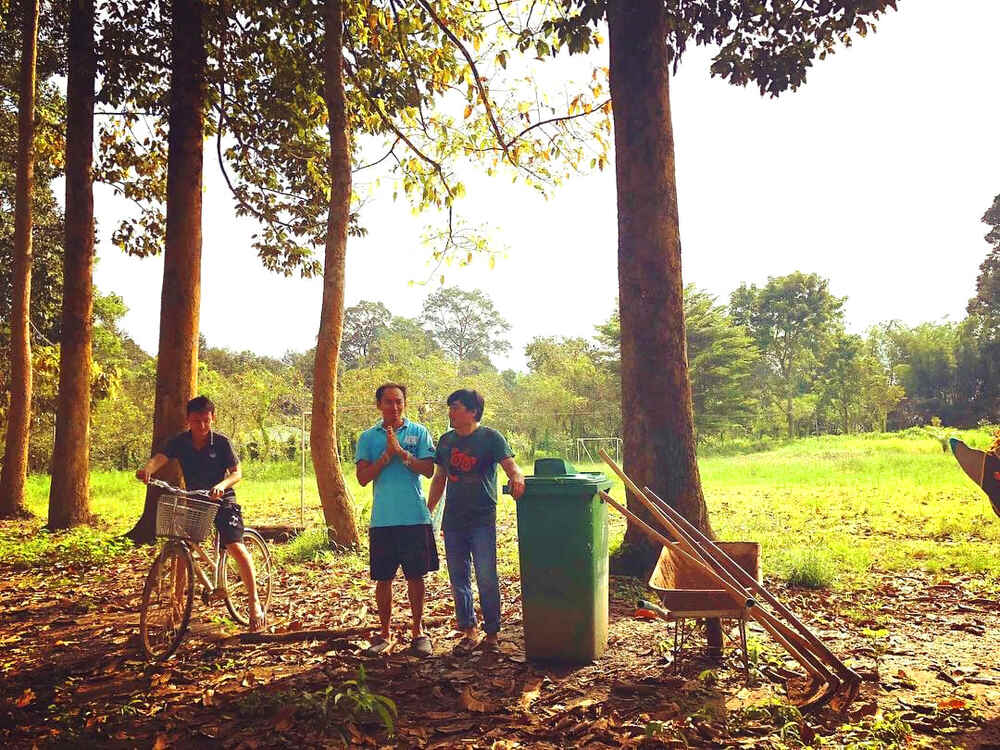 Chàng tiên cá Tiun đi trồng rừng