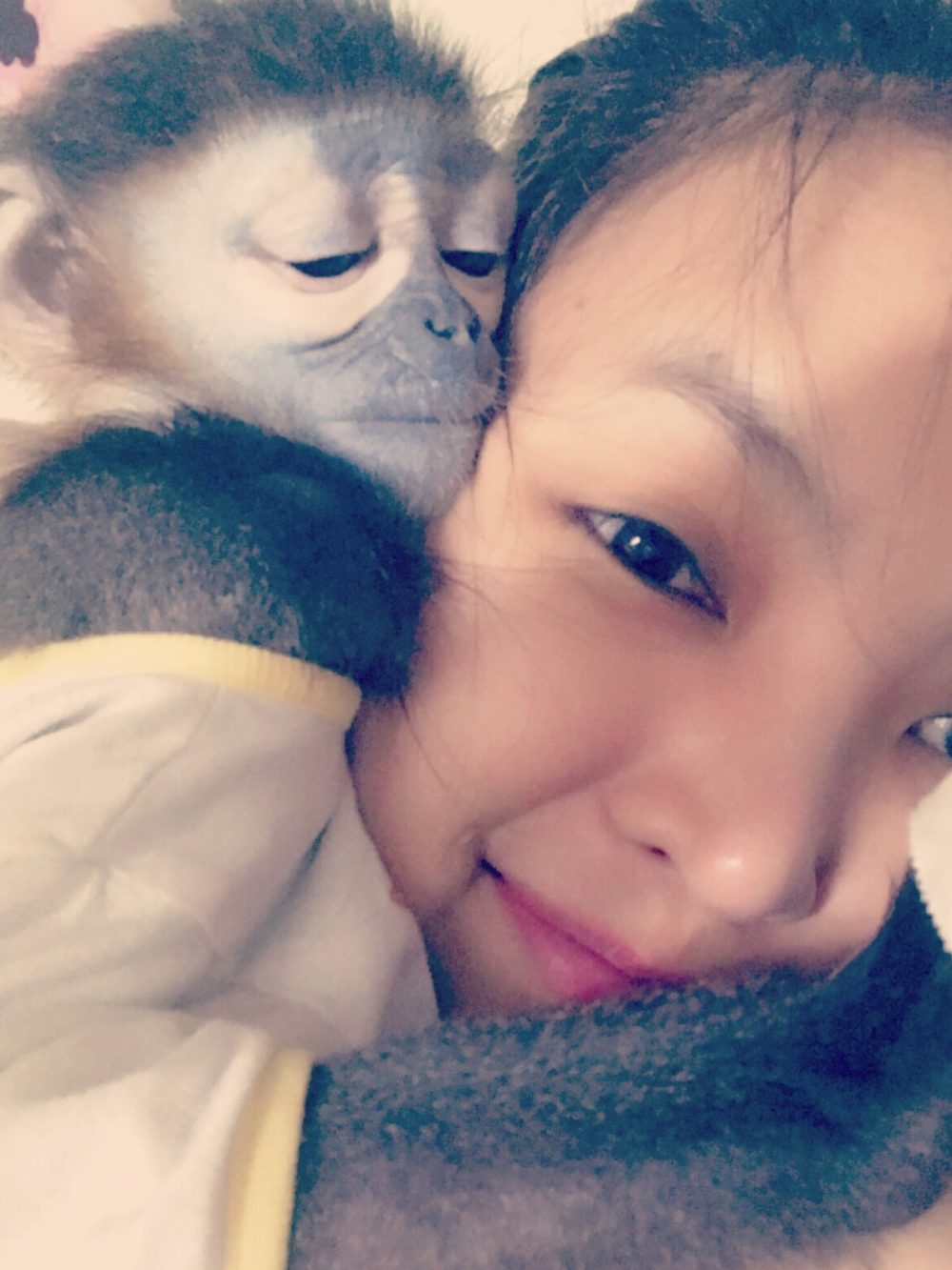 Câu Chuyện Giải Cứu Loài Voọc Ở Việt Nam Của Tiun