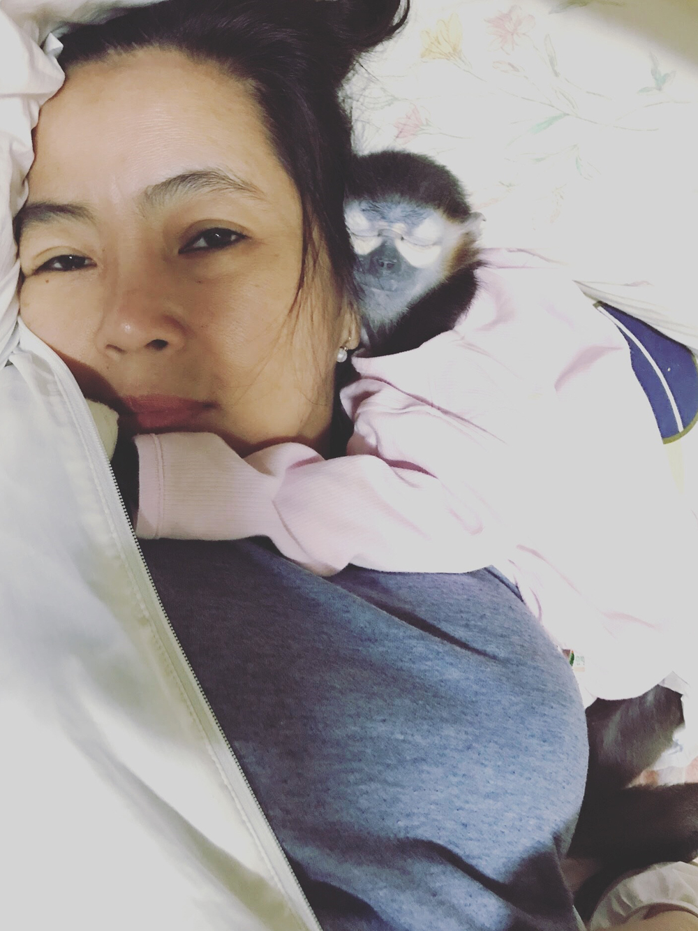 Câu Chuyện Giải Cứu Loài Voọc Ở Việt Nam Của Tiun
