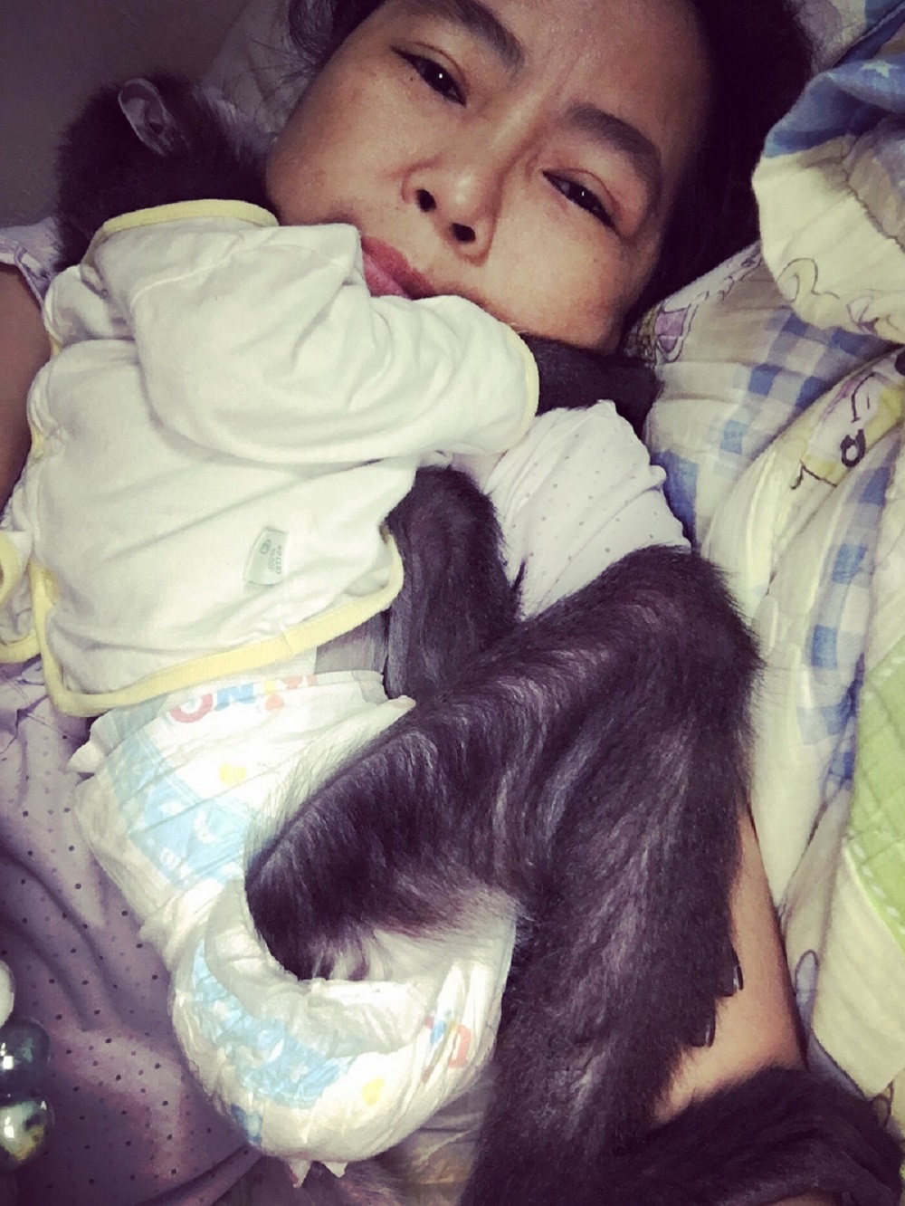 Câu Chuyện Giải Cứu Loài Voọc Ở Việt Nam Của Tiun
