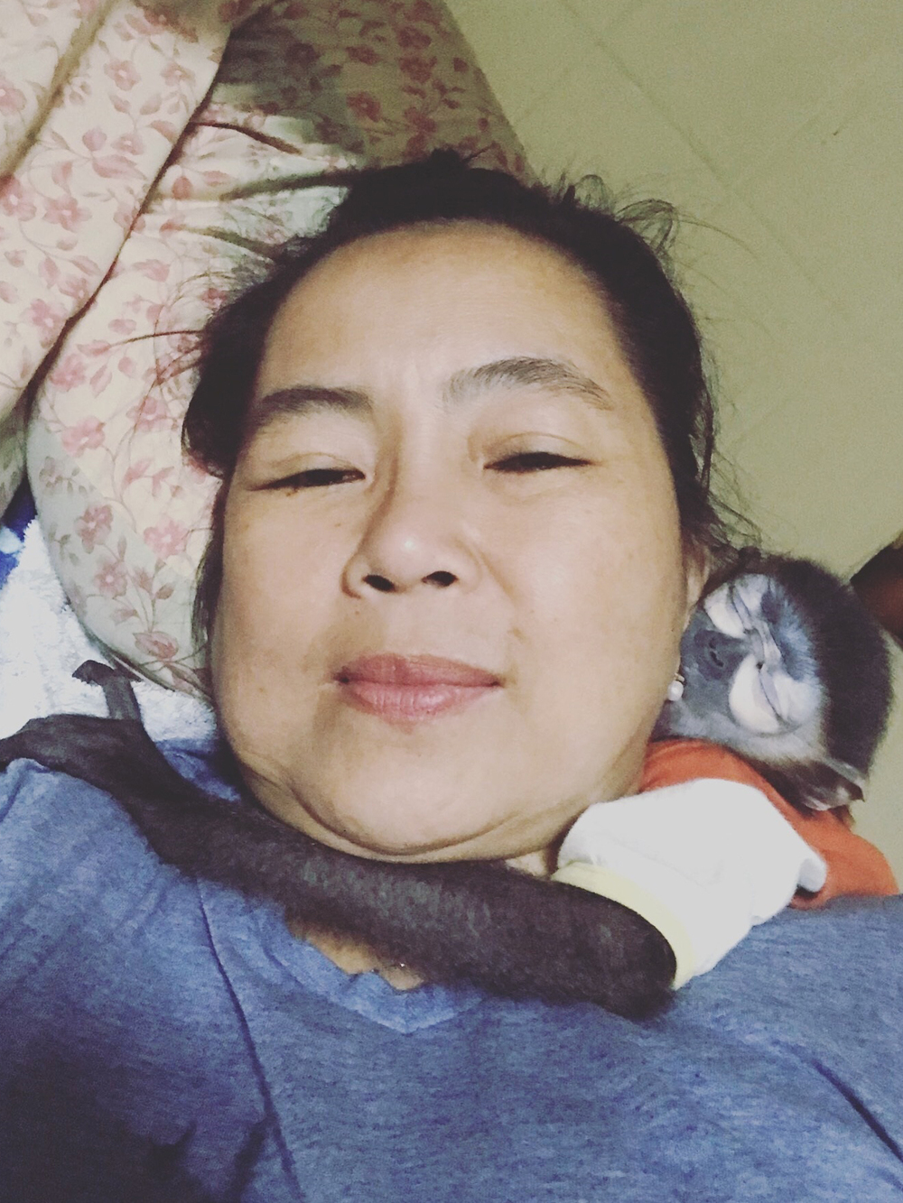Câu Chuyện Giải Cứu Loài Voọc Ở Việt Nam Của Tiun