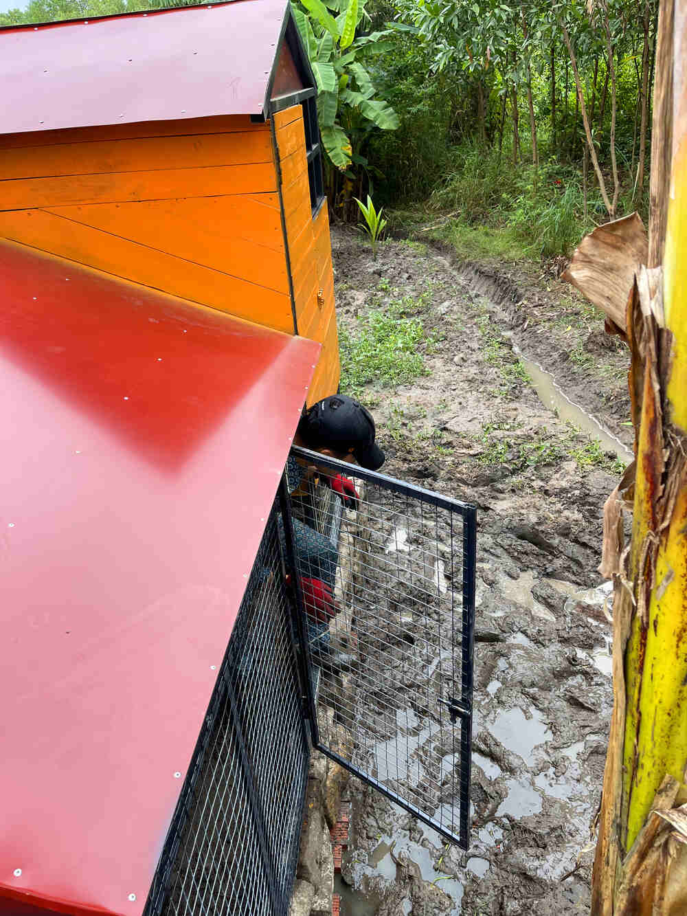 Tiun đã làm xong nhà cho rái cá trong 12 ngày có độ bền 10 năm