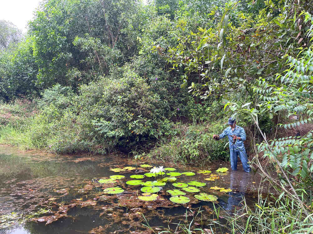 Chàng Tiên Cá Trả Lời Câu Hỏi Phóng Vấn Tạp Chí Biển Việt Nam Về Bảo Tồn Rái Cá