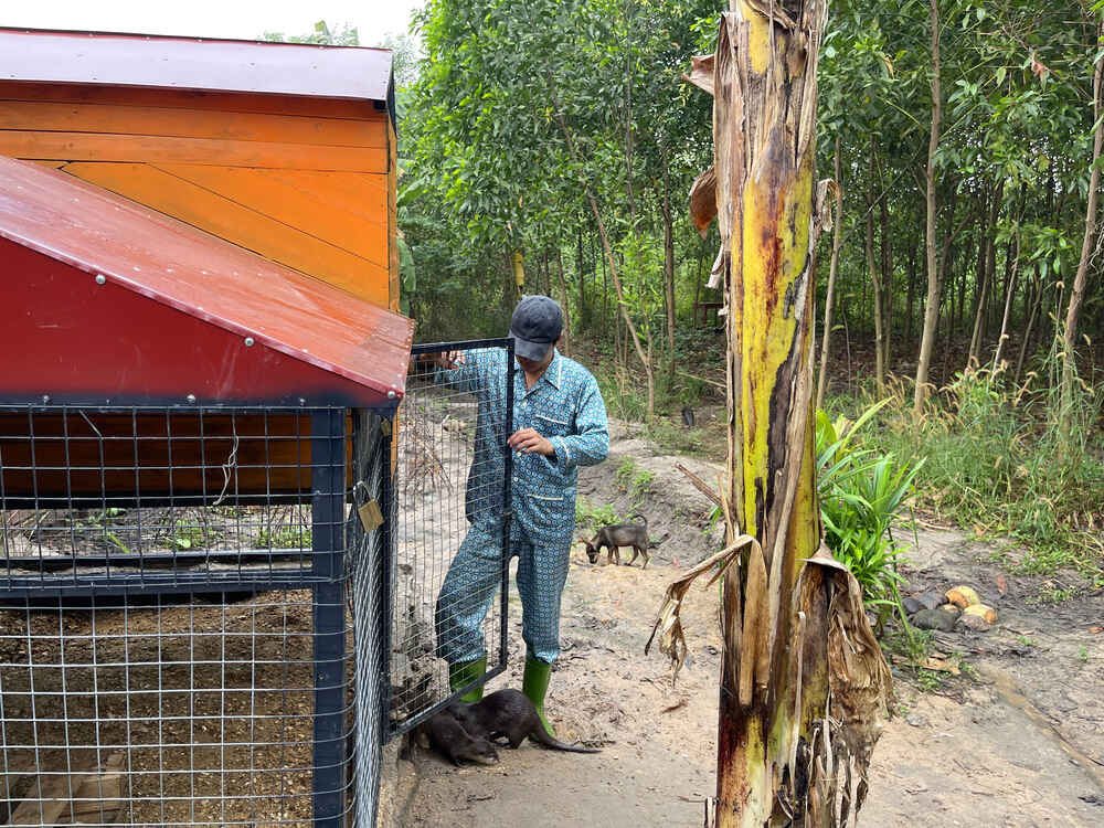Chàng Tiên Cá Trả Lời Câu Hỏi Phóng Vấn Tạp Chí Biển Việt Nam Về Bảo Tồn Rái Cá